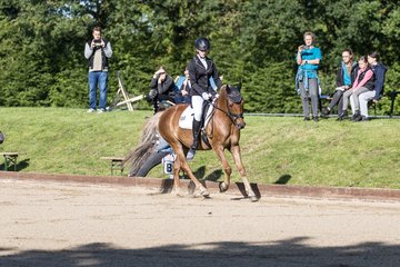 Bild 41 - Pony Akademie Turnier